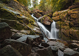 Jizerskohorské bučiny