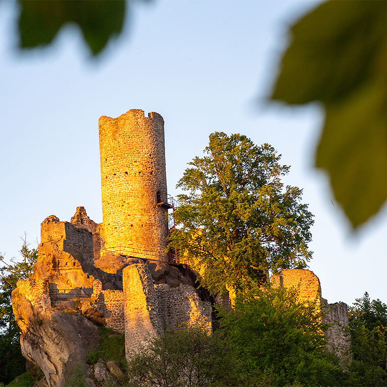 Frýdštejnská fotoexpedice