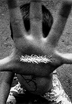 Grafický design, Grafika:&nbsp;©&nbsp;Lukáš Szalay