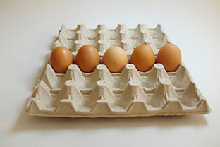 Večerní fotoškola, Foto:&nbsp;©&nbsp;Libor Martinů