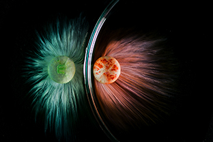 Tvůrčí fotografie, Foto:&nbsp;©&nbsp;Tomáš Bonhard