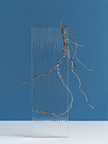 Tvůrčí fotografie, Foto:&nbsp;©&nbsp;Matěj Kania