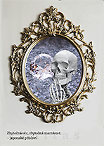 Grafika: © Eva Miškovská