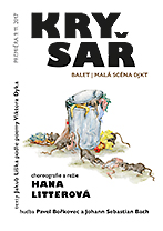 Grafika: © Monika Mašterová