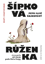 Grafika: © Monika Mašterová