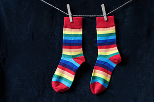 Zátiší, Foto: © Petr Jelínek