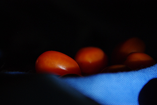 Zátiší, Foto: © Ivana Tomsová