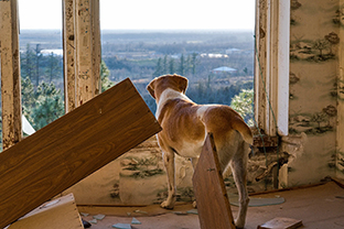 Gruzie, Foto: © Richard Michna