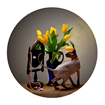 Aranžované zátiší