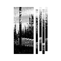 © foto Martin Novotný