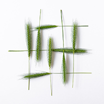 © foto Dita Folbergová