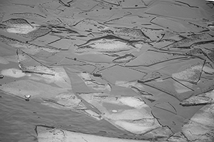 © foto Gabriela Valian