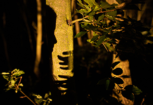 © foto Sylvie Labuzíková