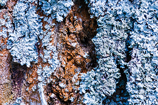 © foto Vladimír Macourek