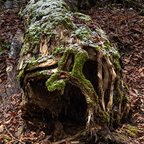 © foto Jan Šmákal