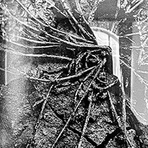 © foto Pavla Bičíková