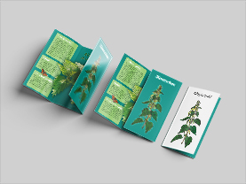 © grafika Stáňa Kyralová